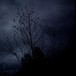 Cursed darkness - I. kapitola